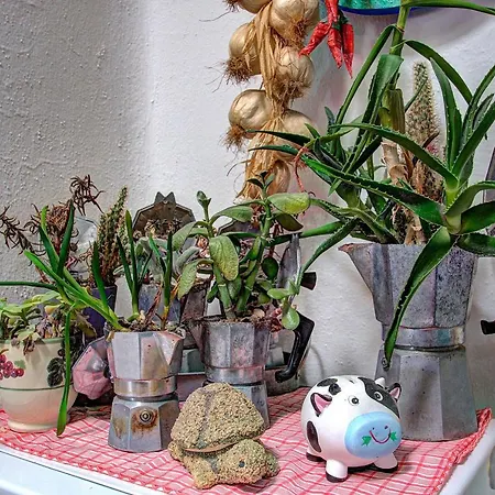 Lacco Terrace Solarium 빌라