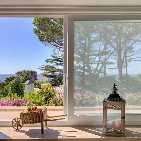 Lacco Terrace Solarium Villa *