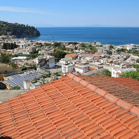 Lacco Terrace Solarium *