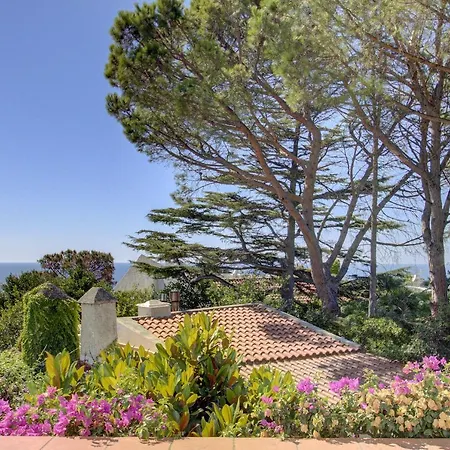 Lacco Terrace Solarium Villa Lacco Ameno (Isola d'Ischia)